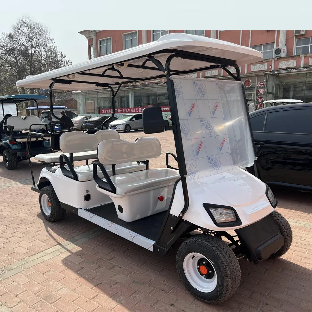 6 Seats 60/72V Lithium Battery Buggy Best Electric Push Car Golf Cart
