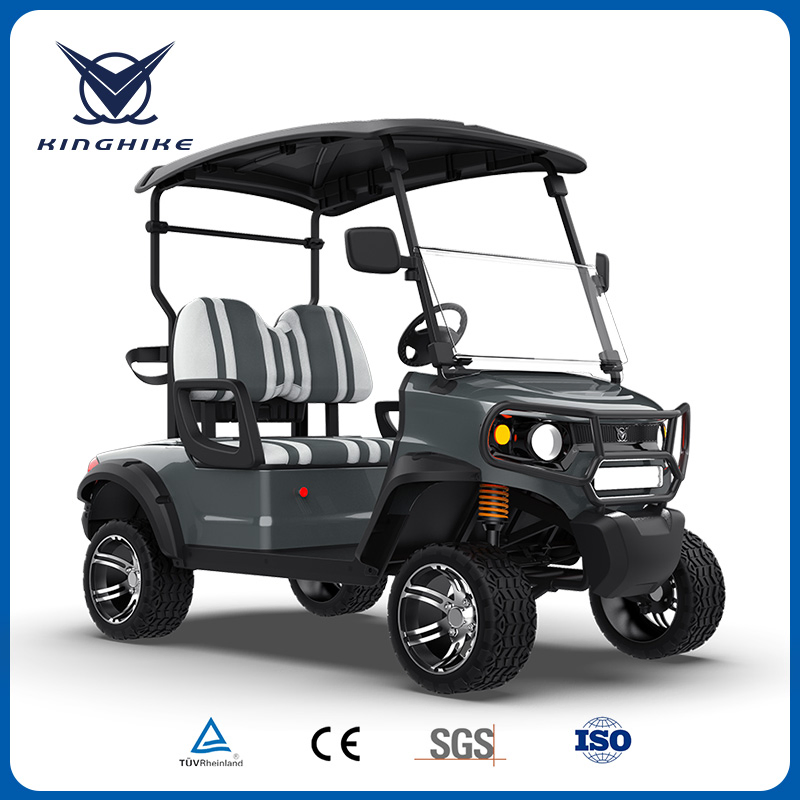 Personal Street Legal Electric Golf Cart Accessories Custom Bodies