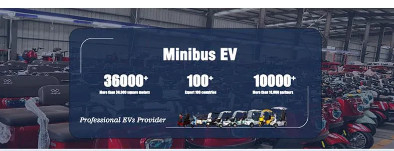 Electric Car Details