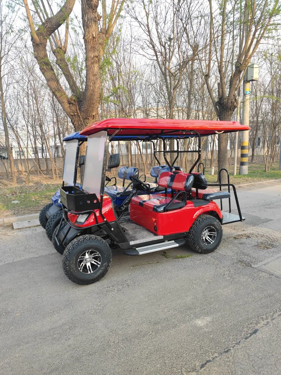 Hot Selling Gasoline Cart 2+2 Seater 4+2 Seater Used Icon Gas Powered Golf Carts/ Electric Golf Cart