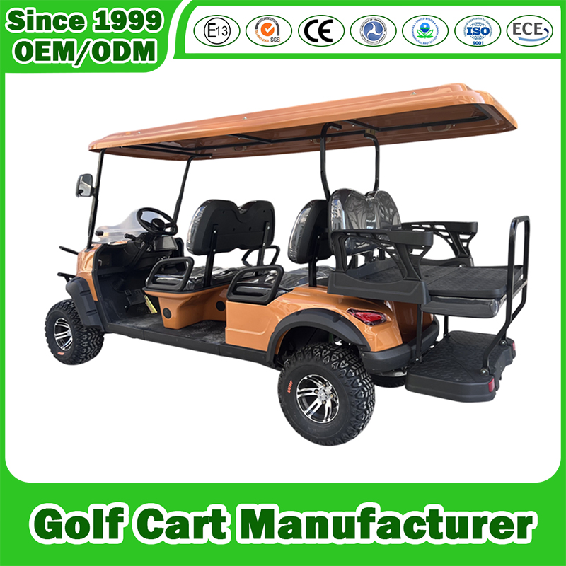 2+2 Seater 4 Passenger New Energy Utility Vehicle Golf Cart Cheap Customized Comfortable 2/4 Seats Gas Powered Gasoline Petrol Carts Factory