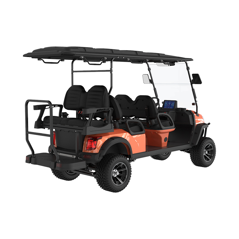 4+2seater Made-in-China Street Legal Electric Lsv Golf Cart
