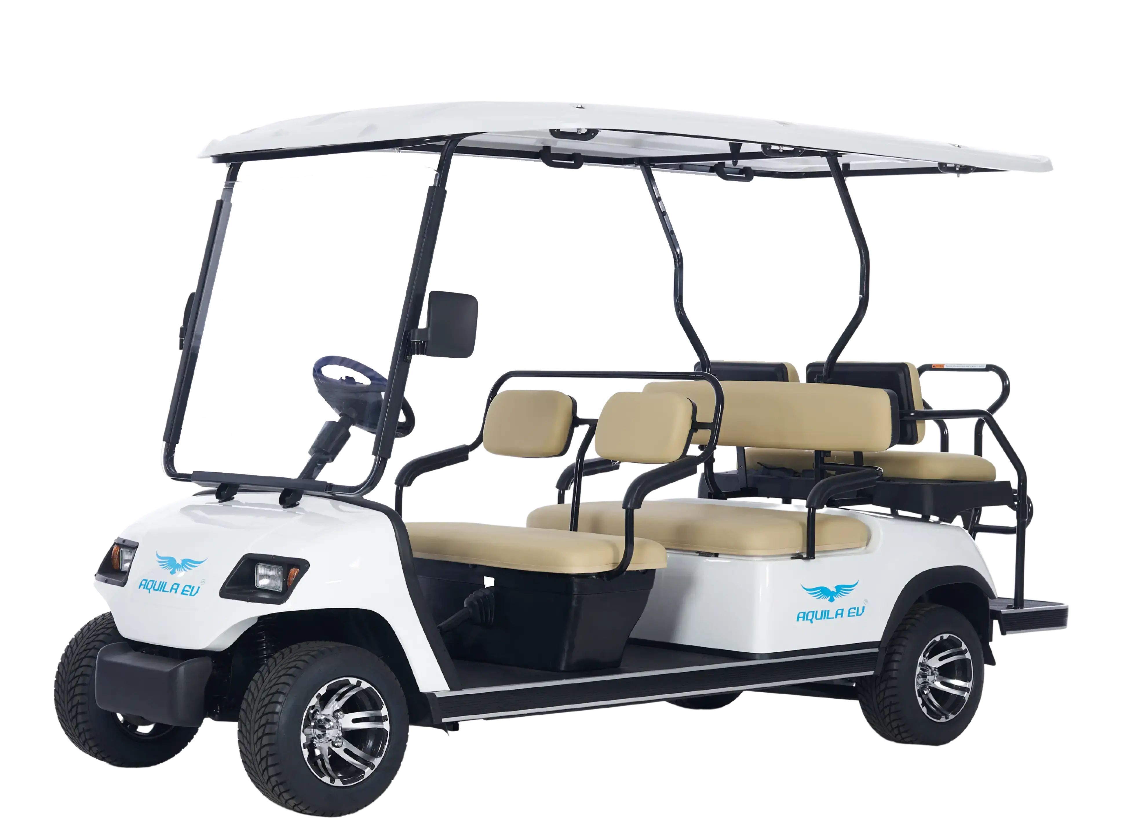 Electric Golf Cart Engineering