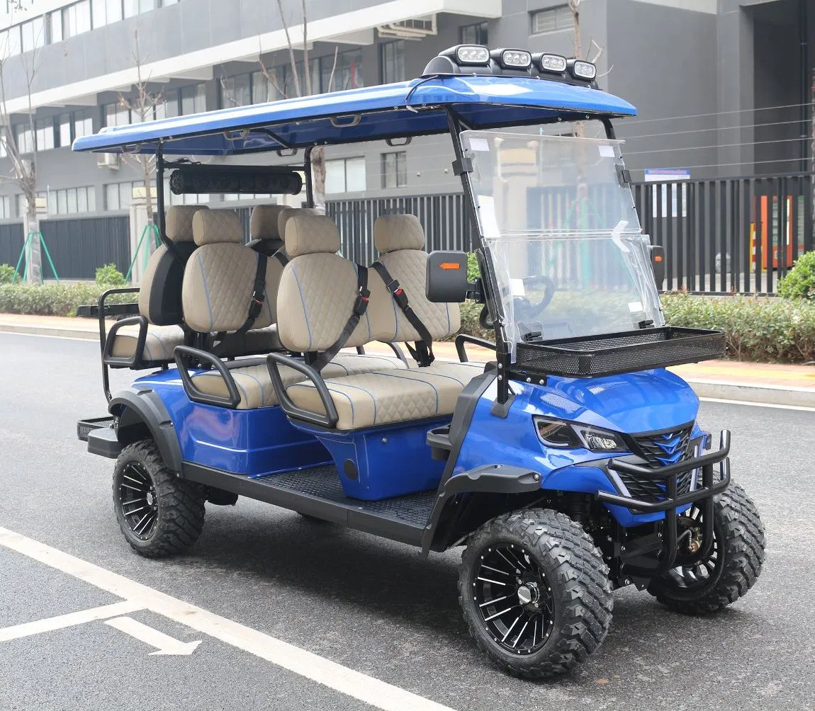 China Gasoline Golf Cart Manufacturer Sightseeing Hunting off Road Club Car Street Legal Utility Mini Solar Panel Lsv Gas Powered Petrol Lifted Golf Buggy