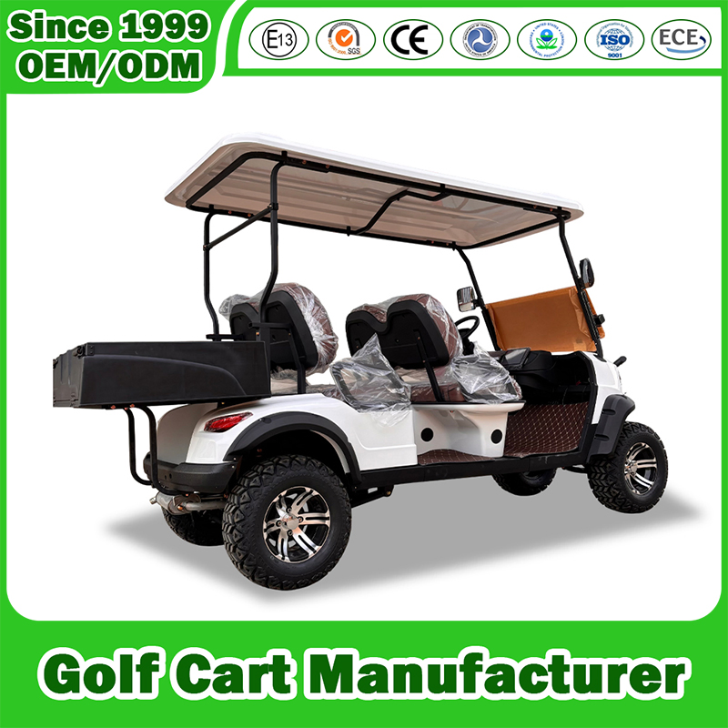 2+2 Seater 4 Passenger New Energy Utility Vehicle Golf Cart Cheap Customized Comfortable 4 Seats Gas Powered Gasoline Petrol Carts Manufacturer