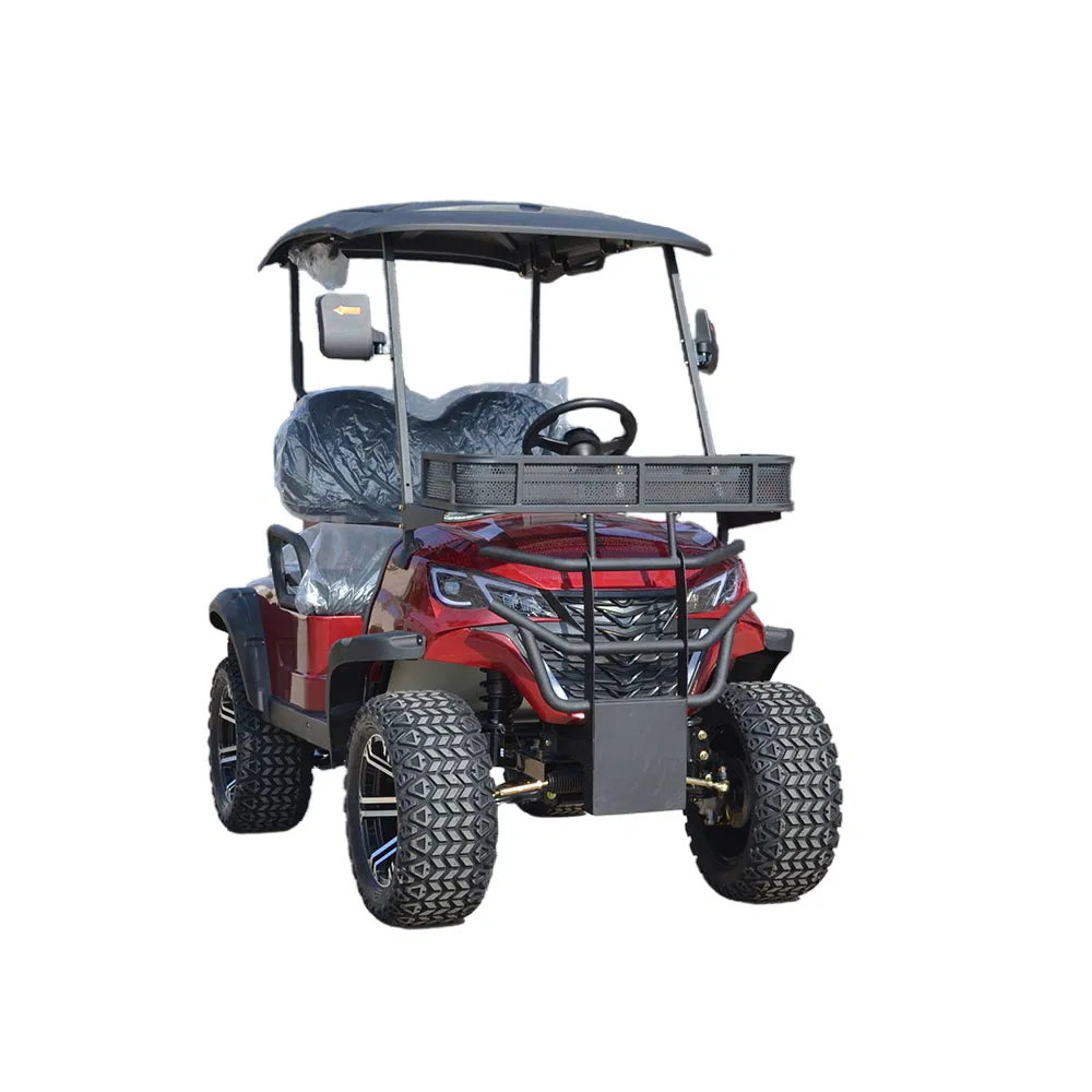 Efficient Customizable Electric Golf Cart with Luxury 2 Seat Design