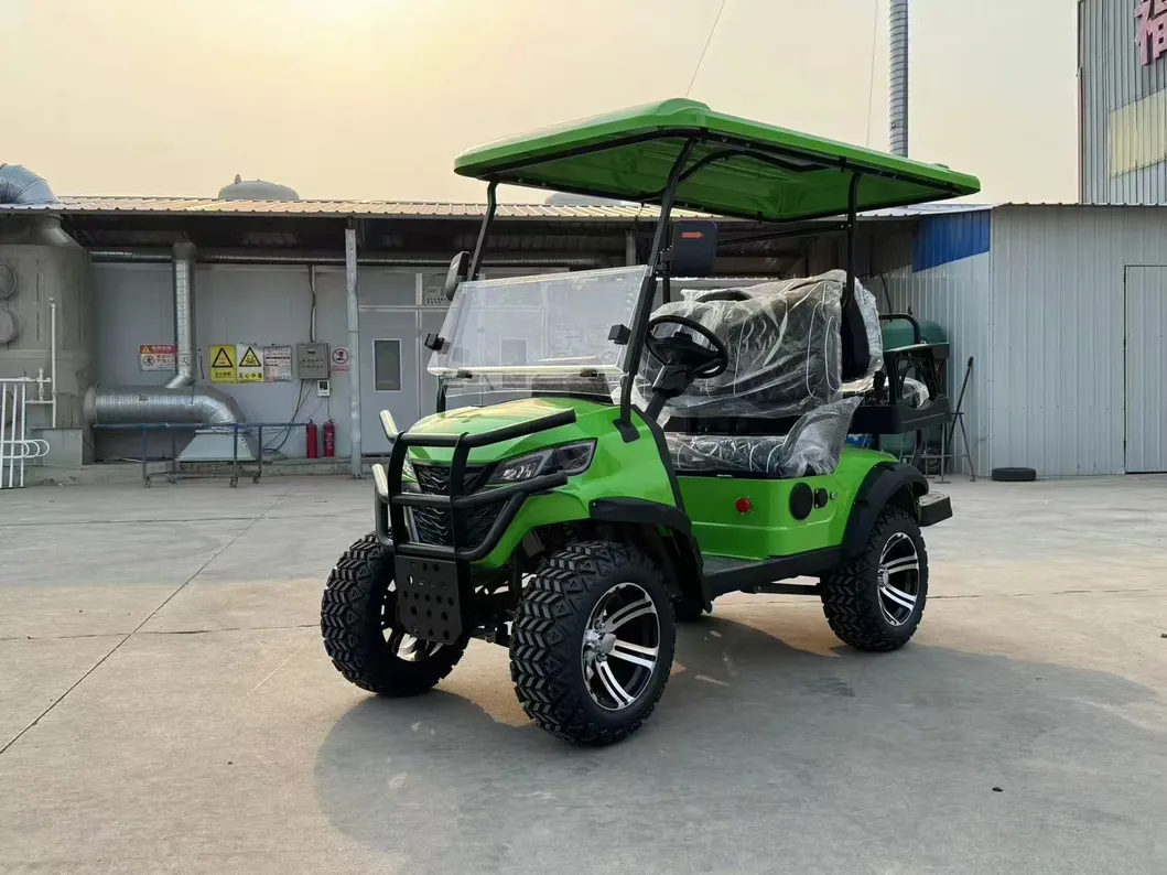 Electric Golf Cart Rear View