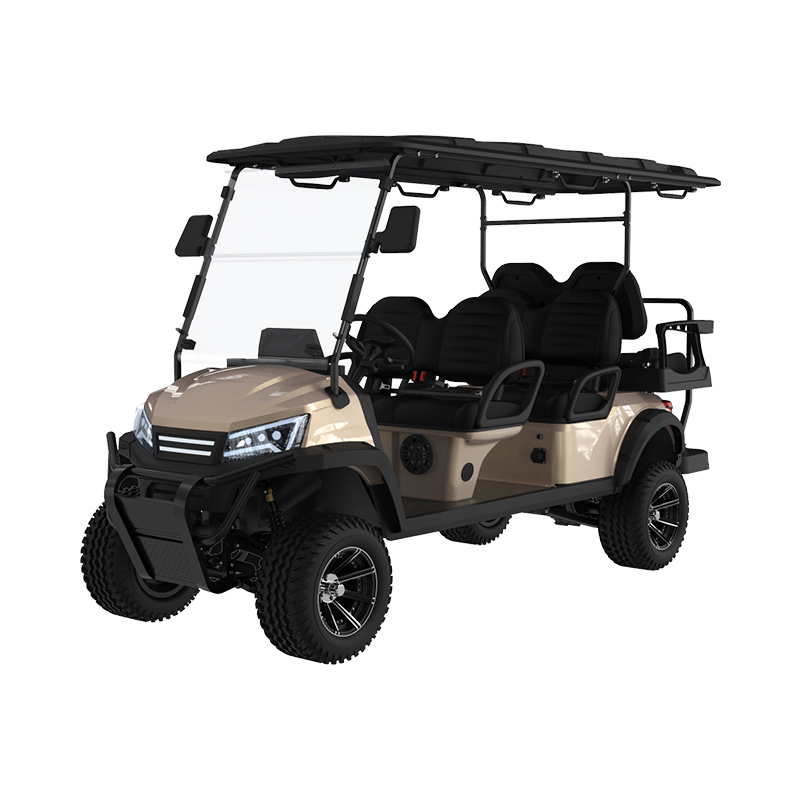 Lsv Street Legal 2025 Electric Golf Cart with 4+2 Seats