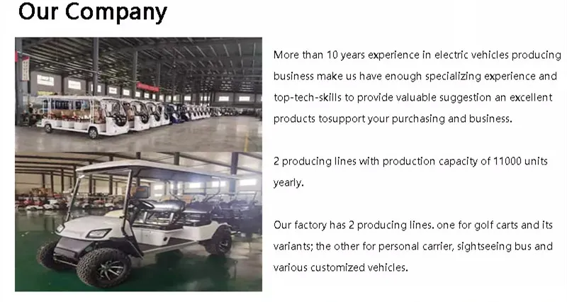 Electric Golf Cart Rear