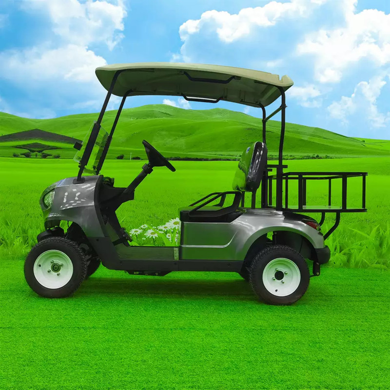 Wholesale Electric Golf Carts for Sale