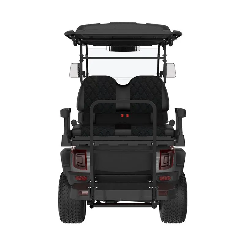 Electric Golf Buggy Rear