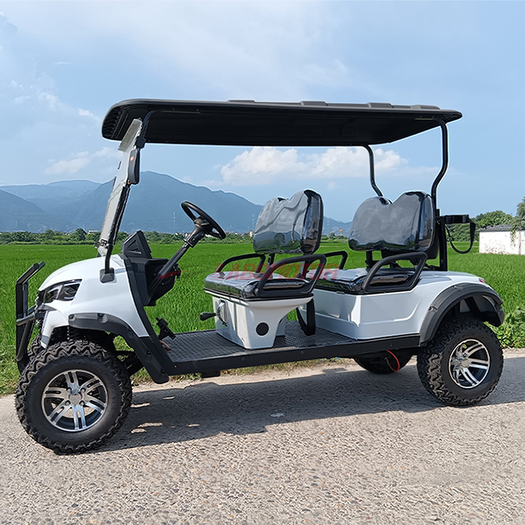 Hot Selling Gas Golf Cart off Road Buggy Gas Powered Golf Cart