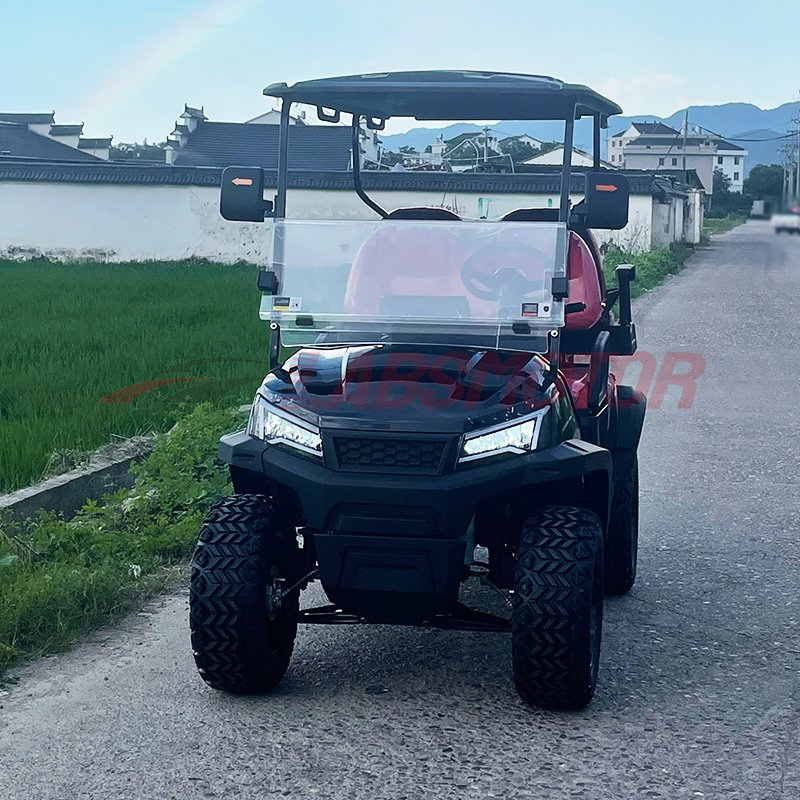 Efficient Gas Powered Golf Cart Golf Car for Golf Course Comfort