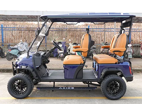 Luxury Golf Cart
