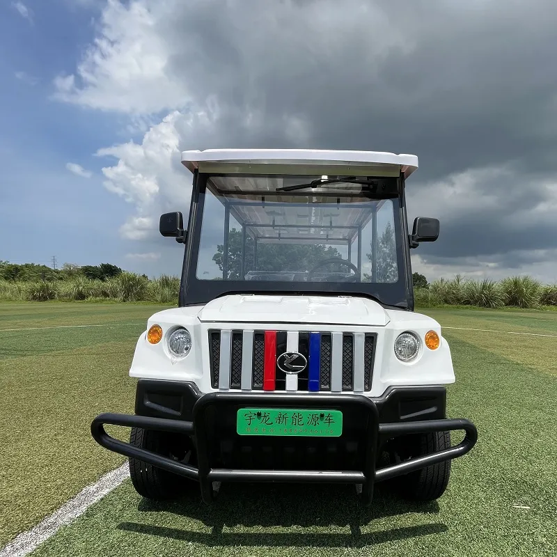 Electric Golf Cart View 2