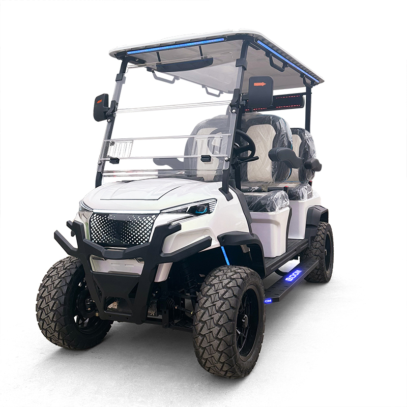Luxury Lithium-Powered Electric Golf Cart with Customizable Color Options