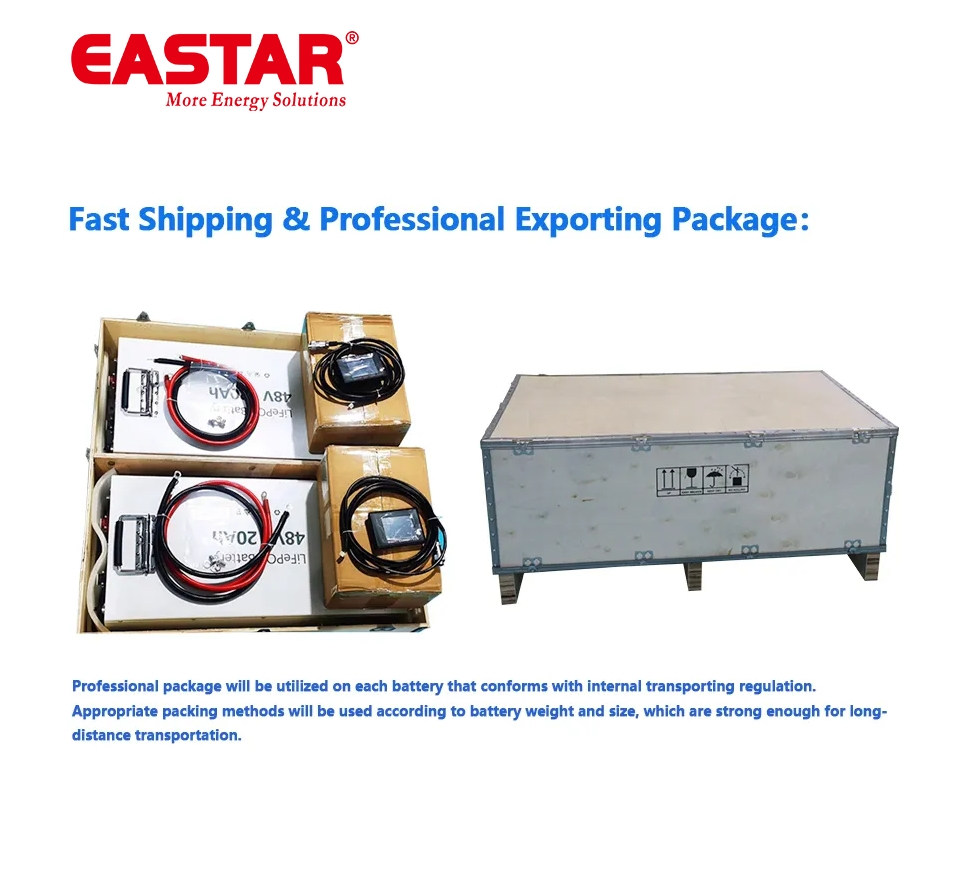 Reliable Power Marine LFP 51.2V 60ah Battery Pack for Golf Cart/ EV