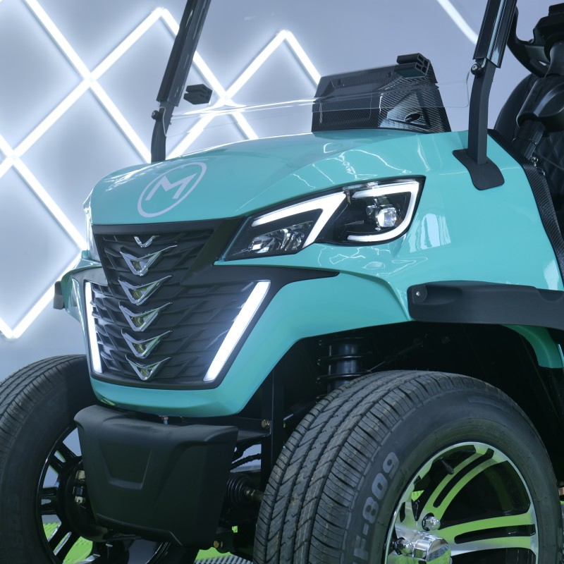 Electric Golf Cart for Sightseeing with Multi-Media System, 3-Point Safety Belts