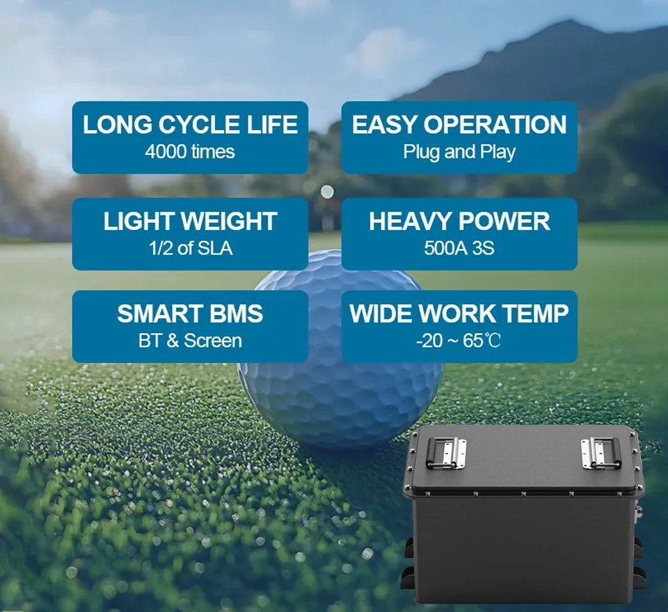 Reliable Power Marine LFP 51.2V 60ah Battery Pack for Golf Cart/ EV