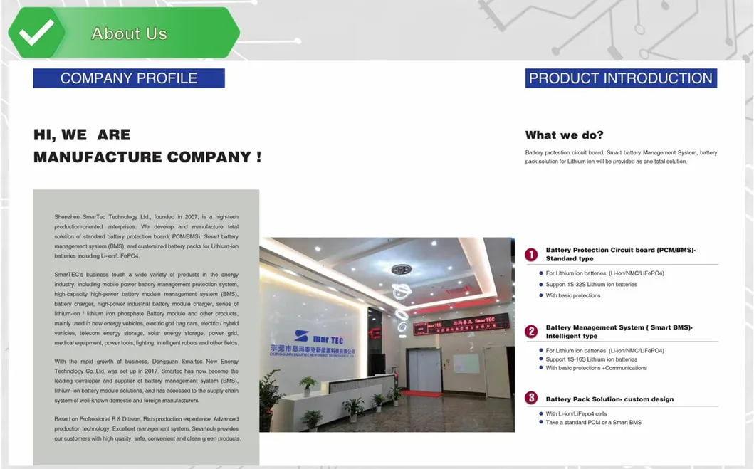 LiFePO4 Battery Pack 5