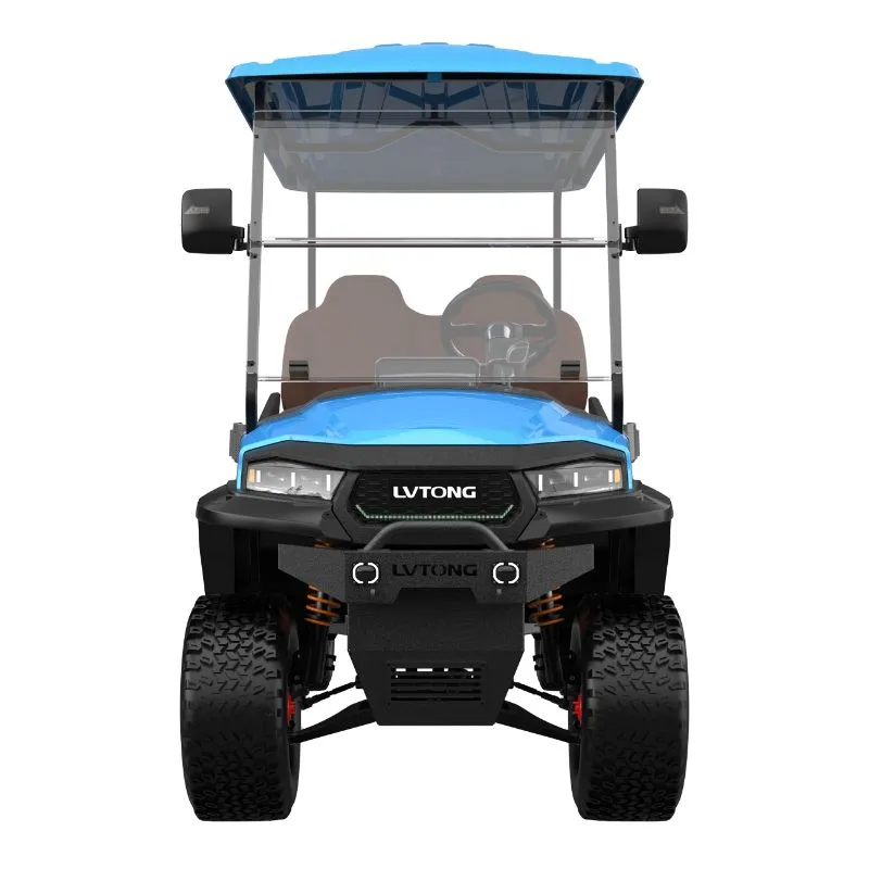 Golf Cart Rear View