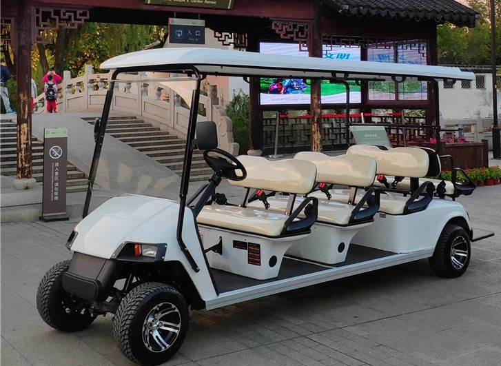 11 Seater Gas Powered Golf Cart with off Road Tyre and Fashion Type Made in China