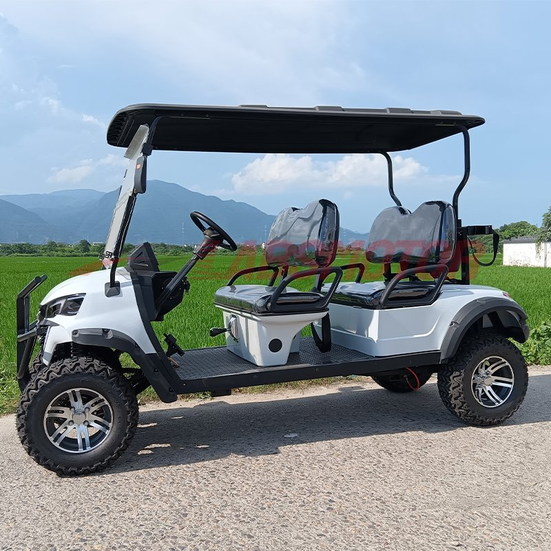 Hot Selling Gas Golf Cart off Road Buggy Gas Powered Golf Cart