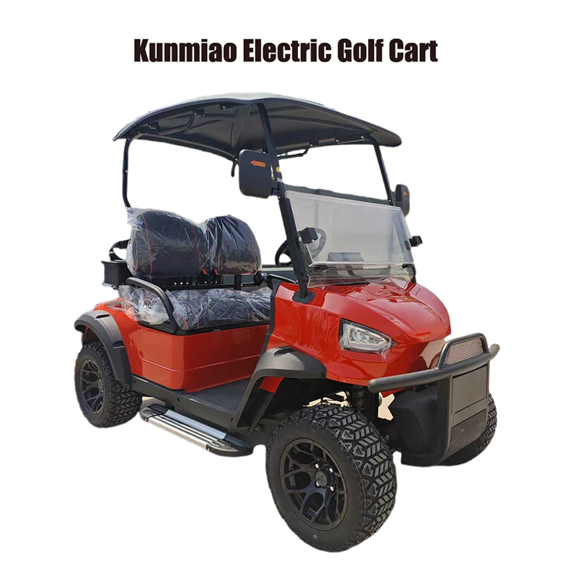 Customizable Color Options Luxury Lithium-Powered Go Kart Electric Golf Cart