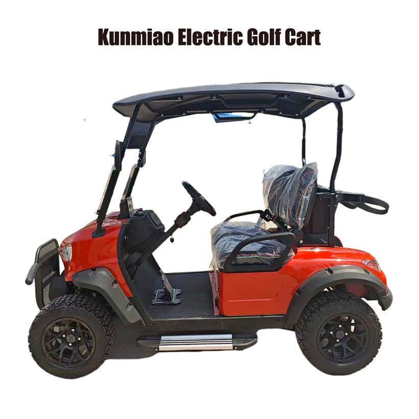 Customizable Color Options Luxury Lithium-Powered Go Kart Electric Golf Cart