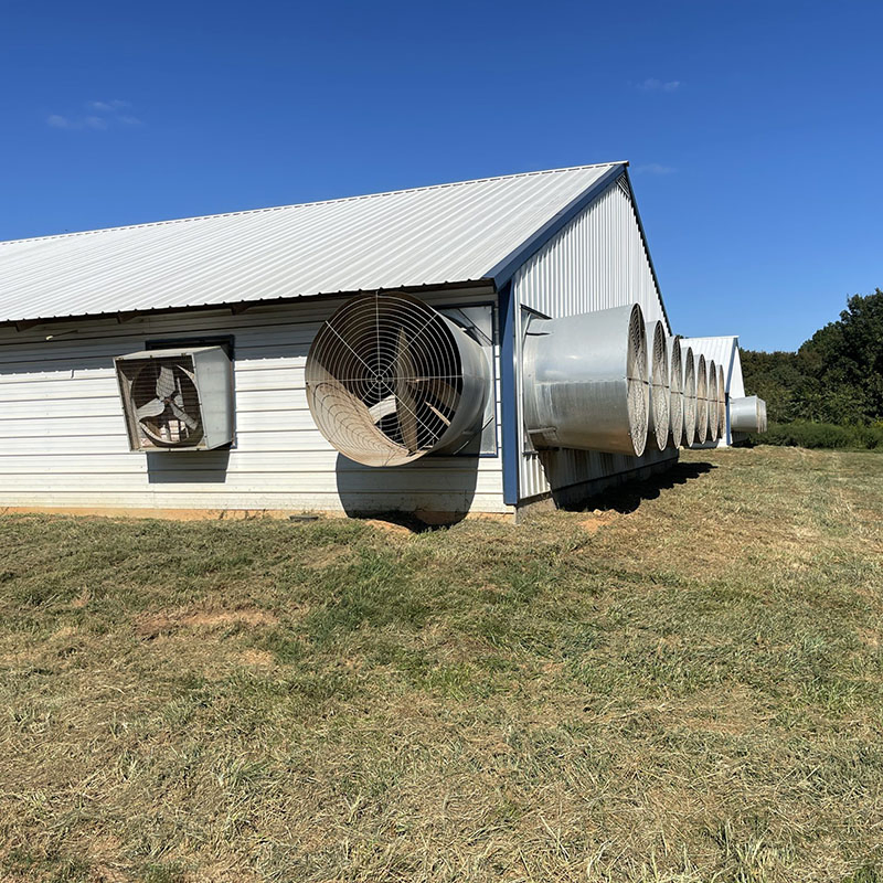 Long Span Design Prefab Steel Structure Bungalow Modular Homes Office Container Prefabricated Building