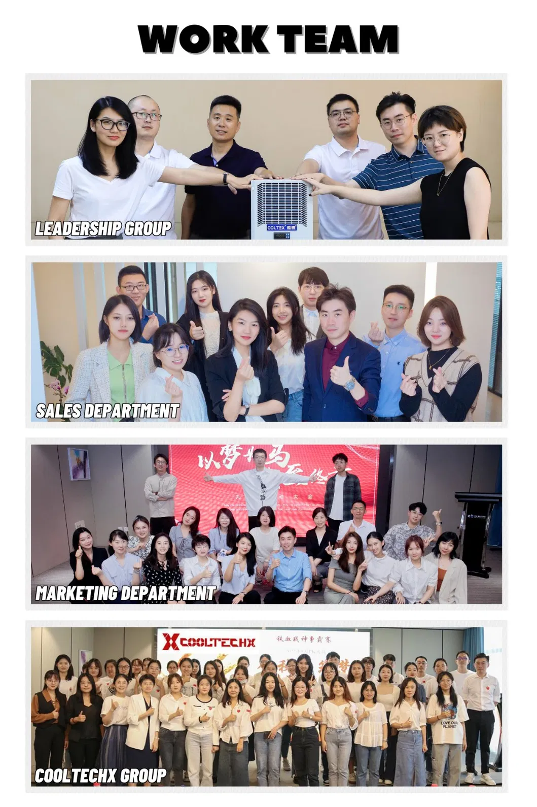 Our Professional Team