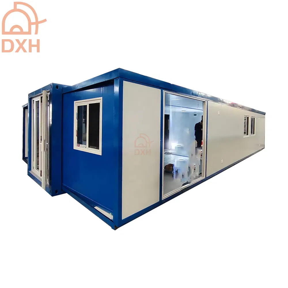 Daxiang OEM ODM Prefab 30FT Modern Thermal Insulation Camp Hospital Prefabricated Vacation Hotel Wholsaler Price Tiny 20FT Expandable Container Home