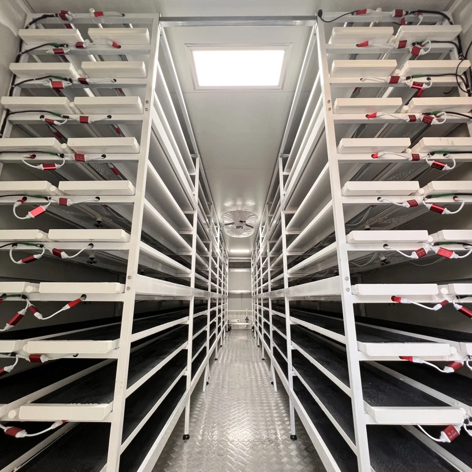 Vertical Farming Container Supplies Food for Mining Areas in Containerized Hydroponic System and Plant Factory