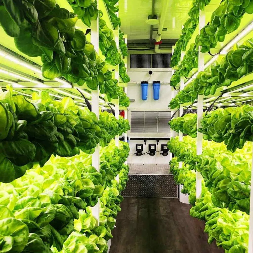 Vertical Farming Container Works for Mining Sites in Containerized Hydroponic System and Hydroponic Grow Container