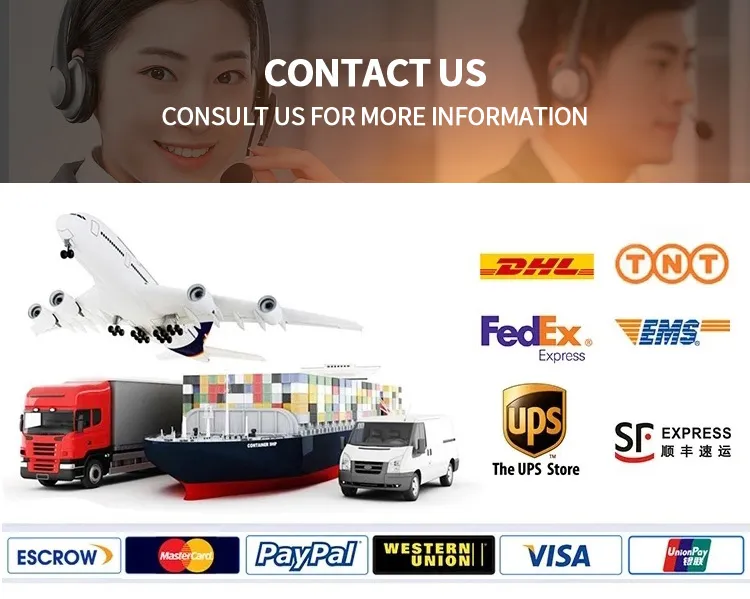 Transport Efficiency