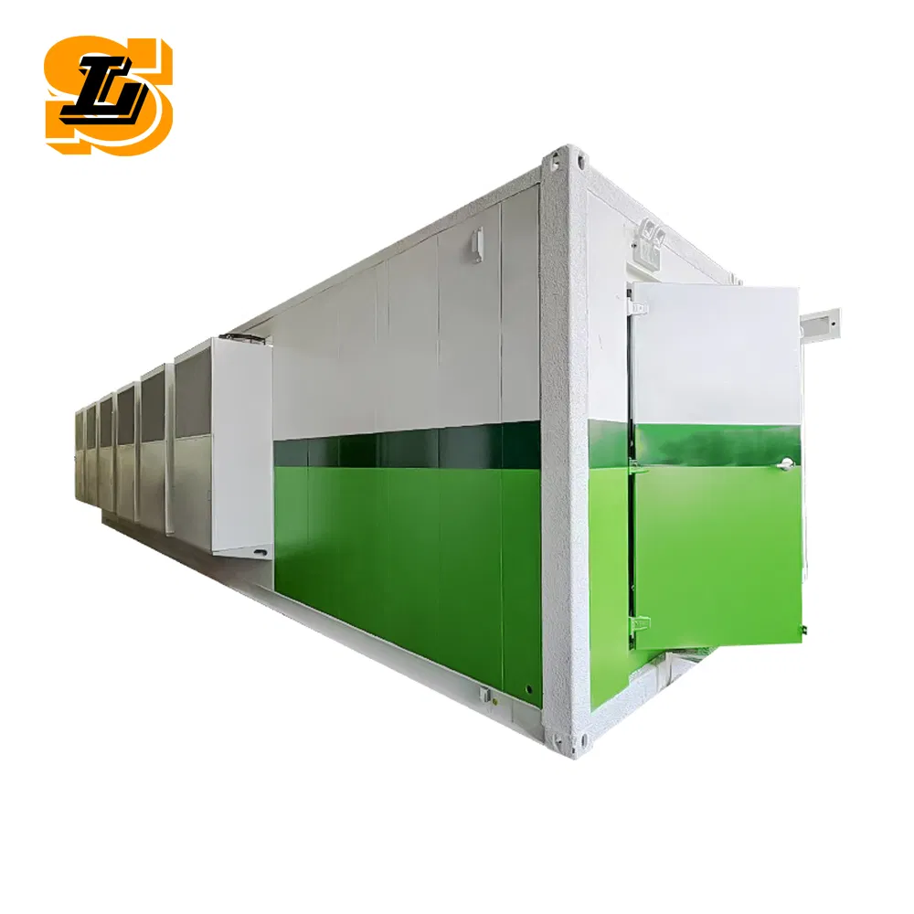 Customized 100MW Immersion Cooling Crypto Mining Container