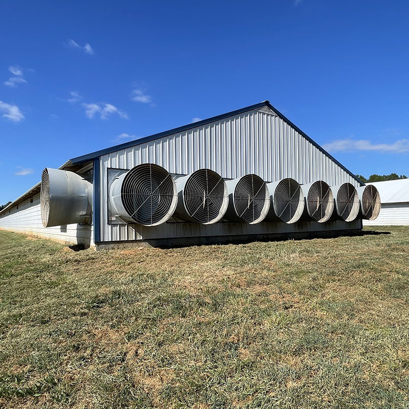 Long Span Design Prefab Steel Structure Bungalow Modular Homes Office Container Prefabricated Building