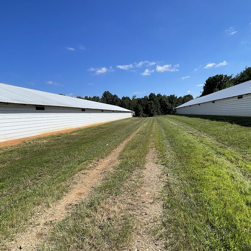 Long Span Design Prefab Steel Structure Bungalow Modular Homes Office Container Prefabricated Building