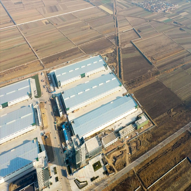 Light Prefab Steel Structure Housing Structural House Building