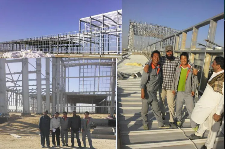 Supervisión de Instalación de Estructura de Acero