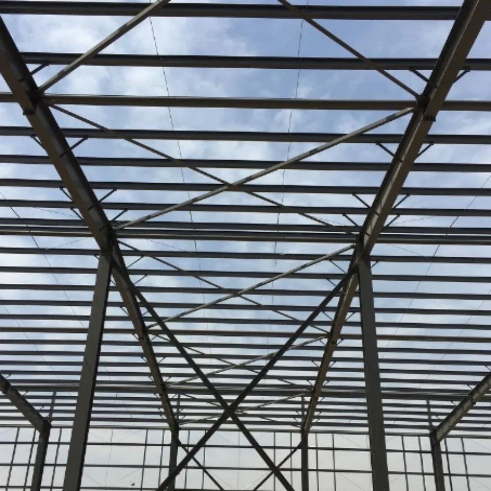 Construcción de Estructura de Acero Ligero Económica para Nave de Marco Portal