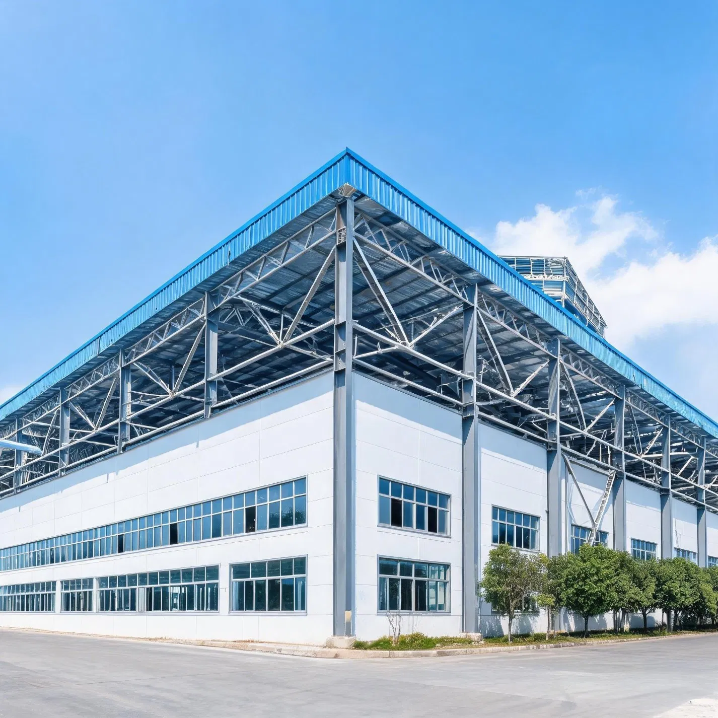 Taller de acero ligero prefabricado de alta resistencia, instalación rápida, bajo costo, casa de pollos, fábrica, almacén industrial comercial para uso agrícola
