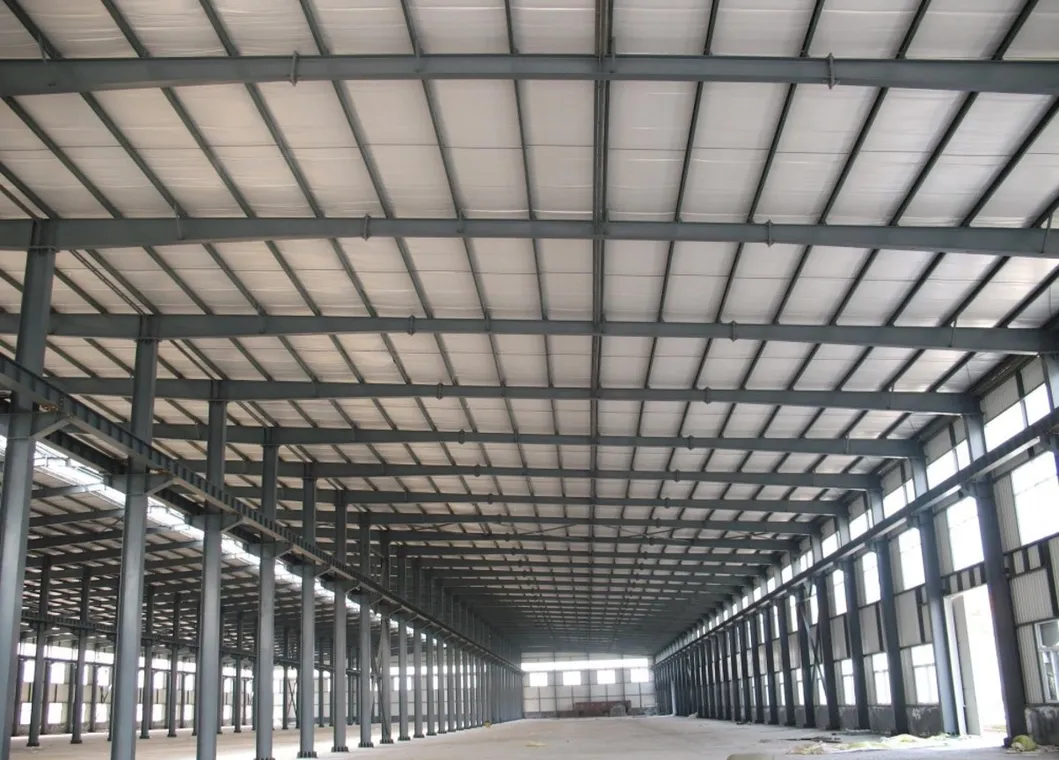 Taller de Estructura de Acero / Almacén Prefabricado de Acero