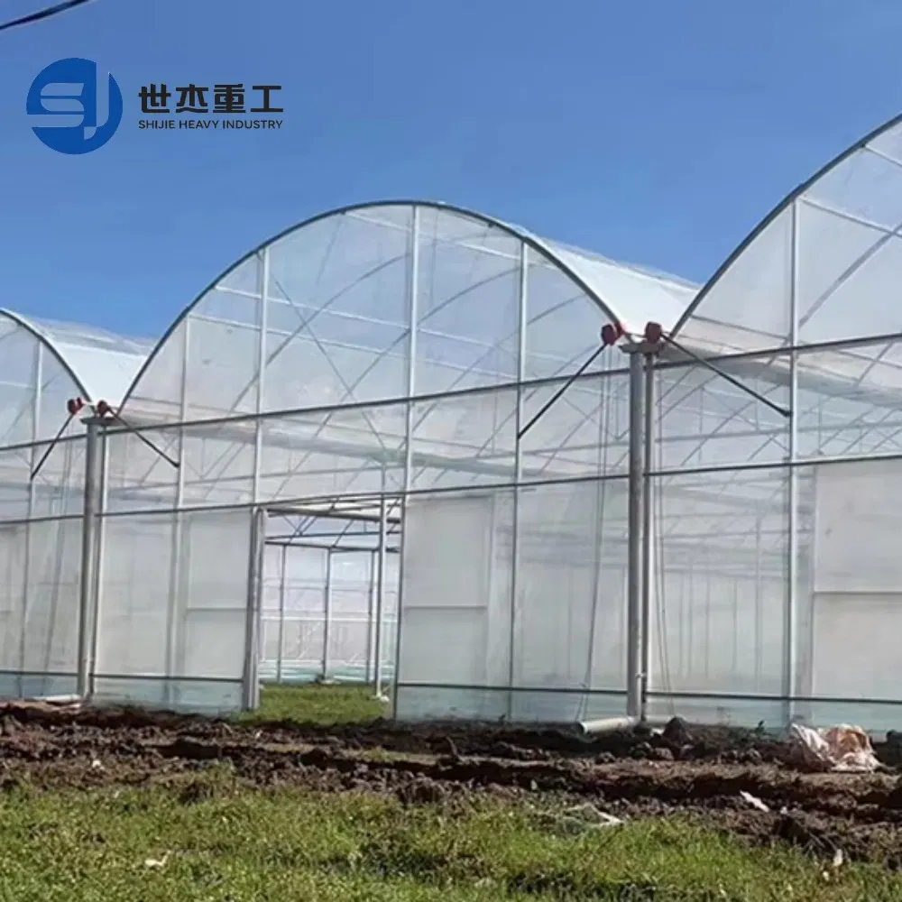 Sistema de Mantenimiento y Sistema de Mantenimiento Sostenible para Edificios de Vacas Prefabricados de Tubo de Acero Galvanizado invernadero
