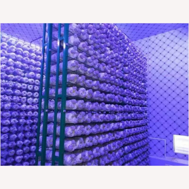Contenedor Automatizado Inteligente para el Cultivo de Hongos con Sistema de Control Climático