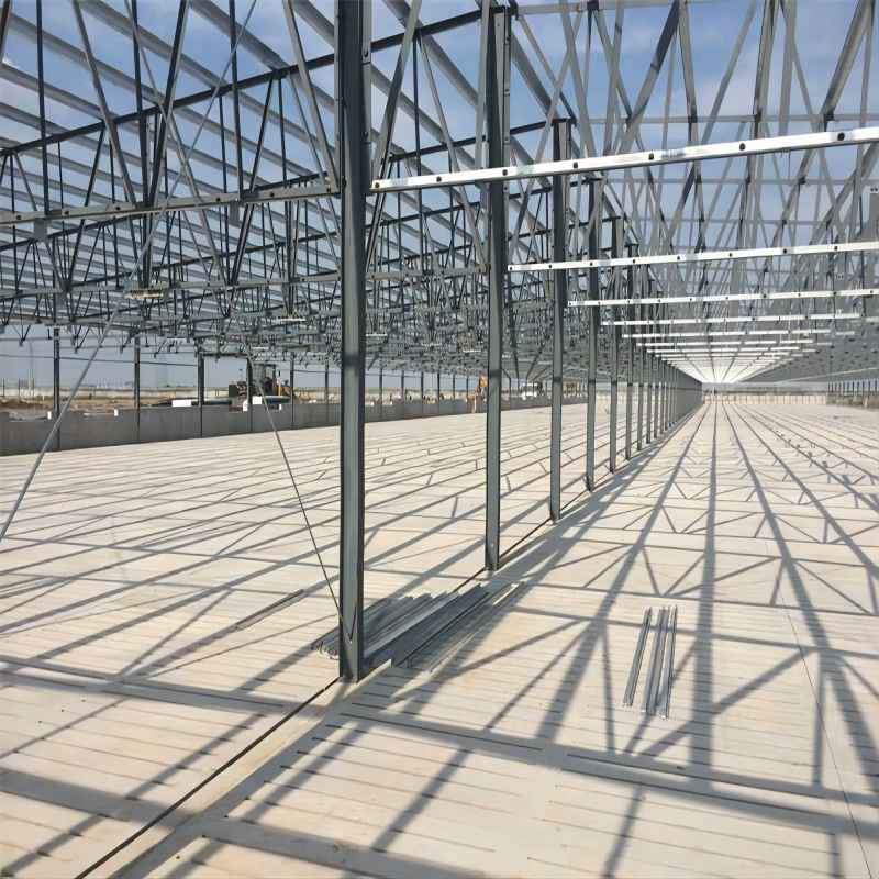 Taller de Estructura de Acero para Planta de Manufactura de Alta Calidad