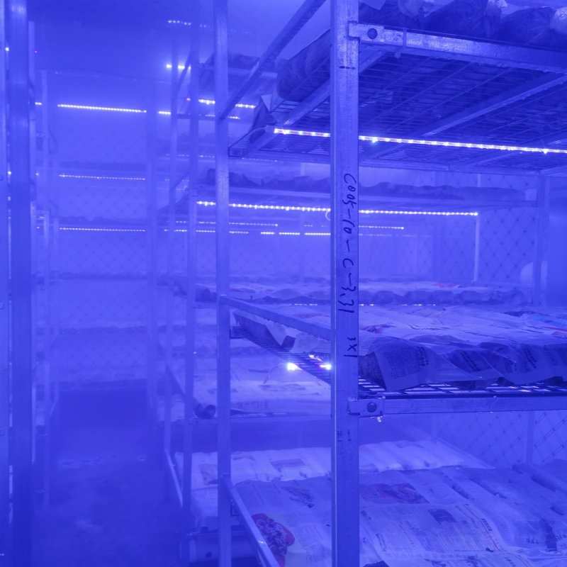Contenedor Automatizado Inteligente para el Cultivo de Hongos con Sistema de Control Climático