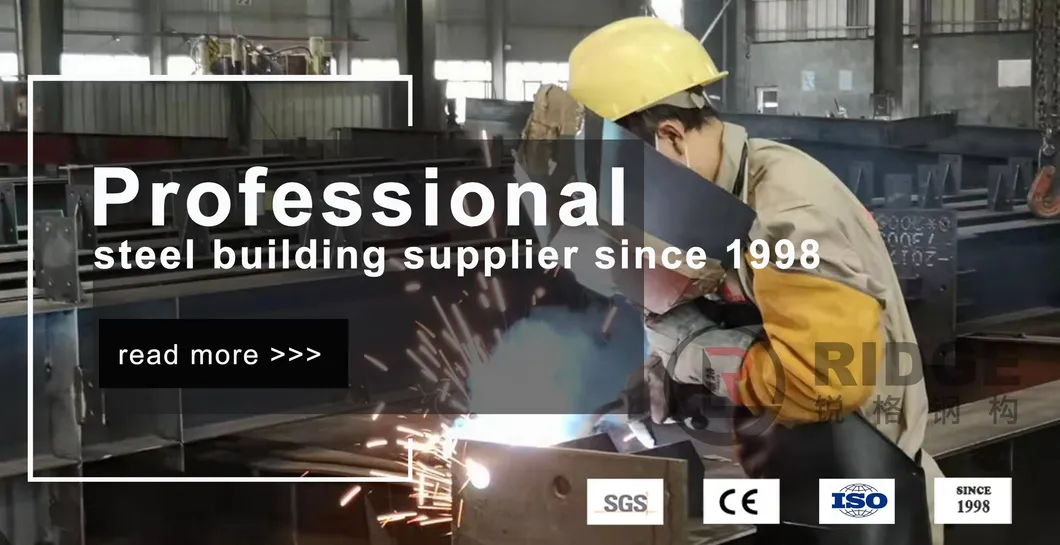 Fábrica de cobertizos de acero ligero de China, estructura de almacén de metal