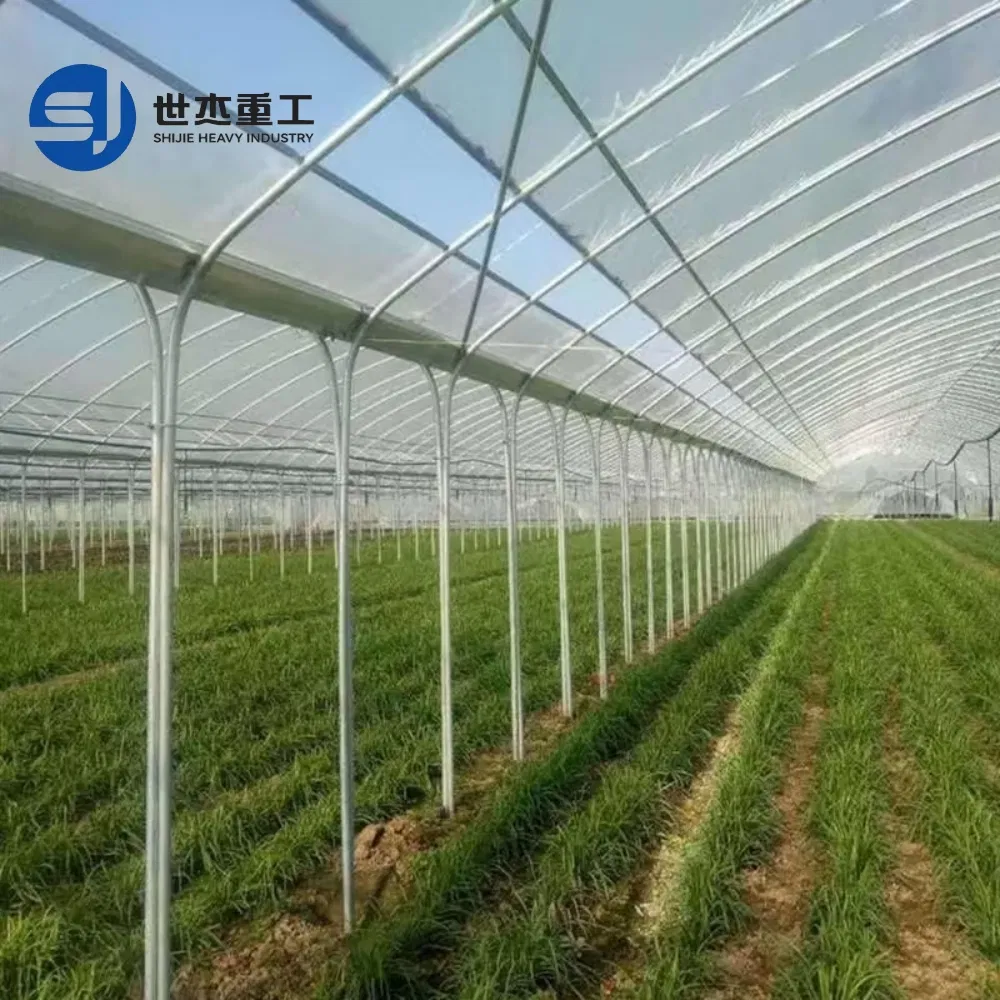 Sistema de Mantenimiento y Sistema de Mantenimiento Sostenible para Edificios de Vacas Prefabricados de Tubo de Acero Galvanizado invernadero