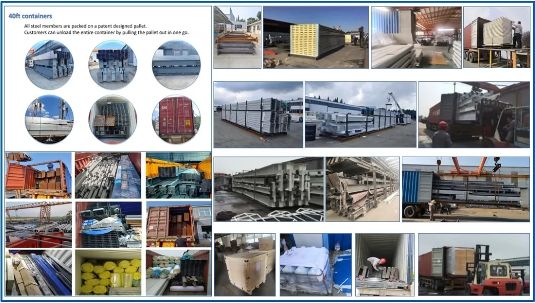 Proceso de carga y embalaje para exportación